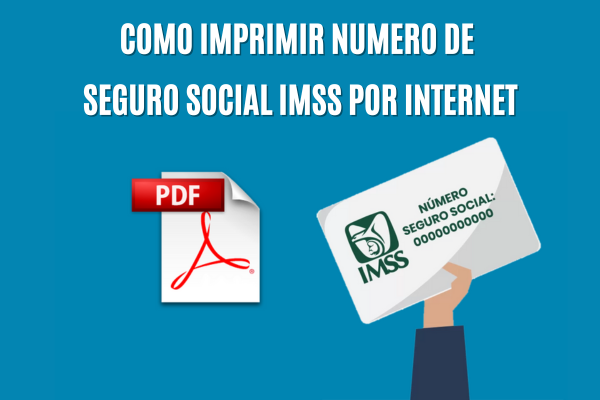 Cómo Imprimir Numero de Seguro Social IMSS por Internet