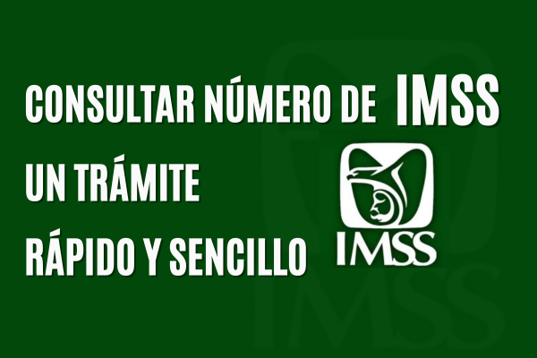 Cómo Consultar número de IMSS: Un trámite Rápido y Sencillo