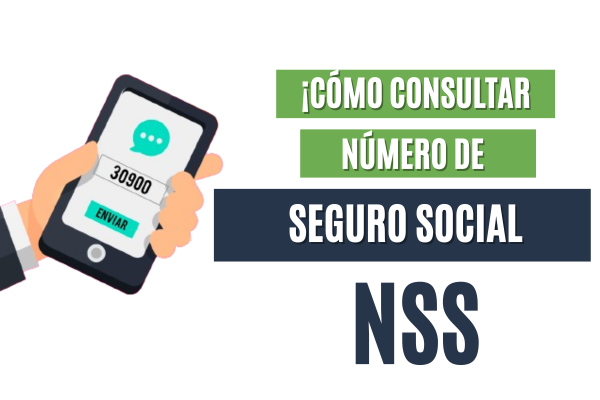 ¡Cómo Consultar Número de Seguro Social: Guía Completa