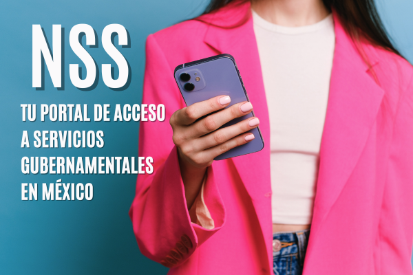 NSS: Tu Portal de acceso a Servicios Gubernamentales en México